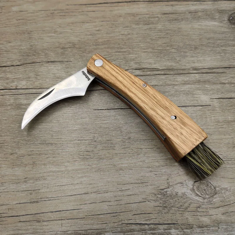 https://ae01.alicdn.com/kf/H1c1d808e1bb34a5896cf06e7cf0568108/Dropship-Mini-Portable-Multi-Function-Rosewood-Handle-Collecting-Folding-Mushroom-Knife-Camping-With-Brush-Tool.jpg