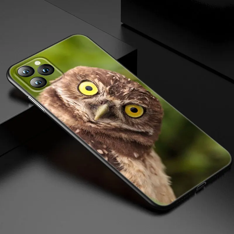 Animal Owl Phone Case For Apple iPhone 13 12 Mini 11 Pro XS Max XR X 8 7 6S 6 Plus 5S 5 SE 2020 Soft TPU Black Cover- H1c1ebe6c11884c07a01dc04013156982y
