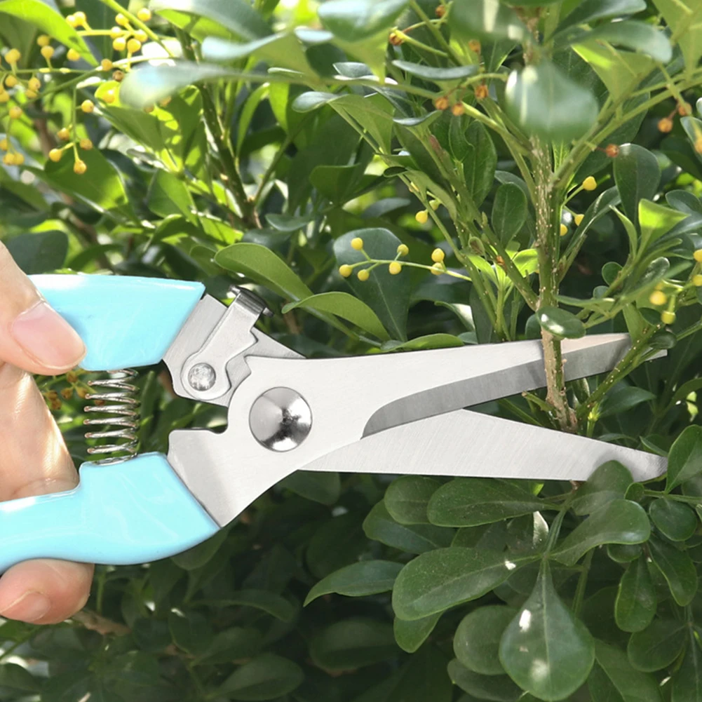 how to straighten a tree branch