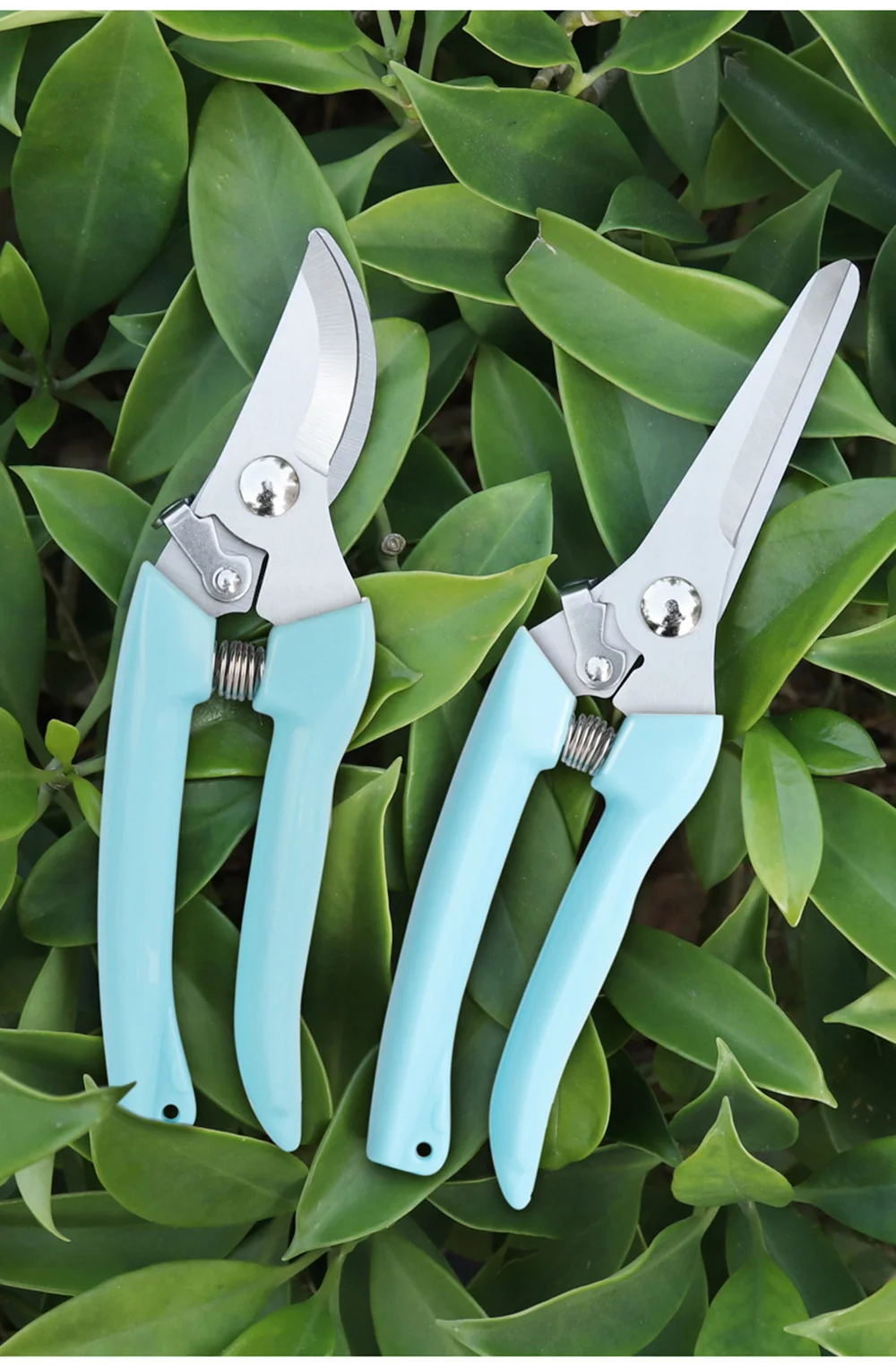 5 Pièces Kit Pinces à Épiler Acier Inoxydable Pour Jardinage