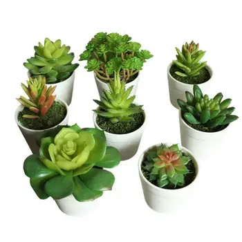 

Artificial Succulent Plants Indoor Vivid Green Plants Small Potted Cactus Plants For Office Home Garden Decoration