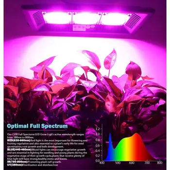 

50W 100W 200W 300W Full Spectrum LED Grow Light Waterproof IP67 COB Growth Flood Light for Plant Indoor Hydroponic Greenhouse