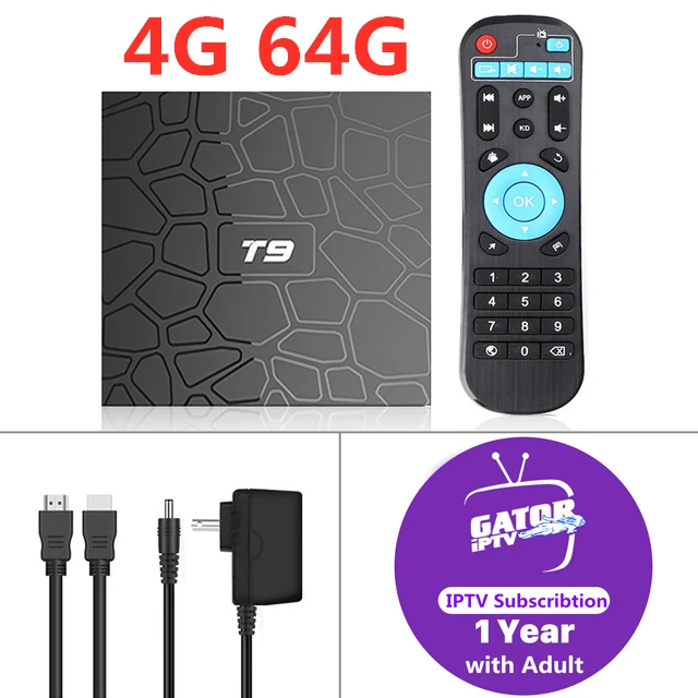 4G64G-1 Year IPTV T9 коробка ТВ android 9,0 RKchip QuadCore USB 3,0 4K Декодер каналов кабельного телевидения с 1 год Франция испанский Италия Швеция Германия португальское IPTV m3u - Цвет: 4G64G-1 Year IPTV