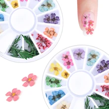 Новинка 24 шт./колесо для украшения Ногтей Сушеный Цветок 3D маникюр Лак Лето реальные консервированные Цветочные листья смешанные сухие цветение советы