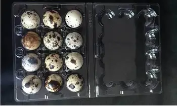 

2000pcs/lot 12 Holes Quail Egg Containers Plastic Egg Boxes D28mm/H39mm