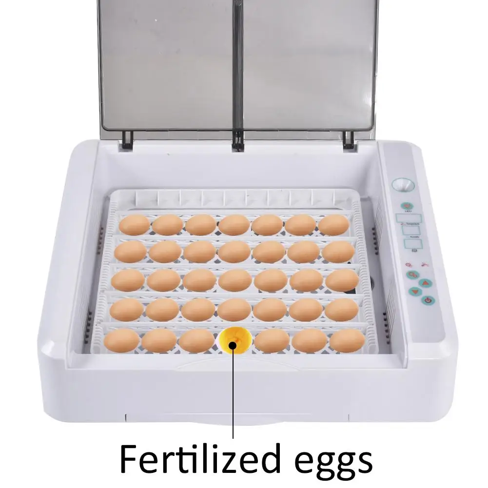 Инкубатор для яиц цифровой автоматический домашний инкубатор для яиц 12-120 Цифровой полностью автоматический инкубатор для разведения домашнего использования 20E