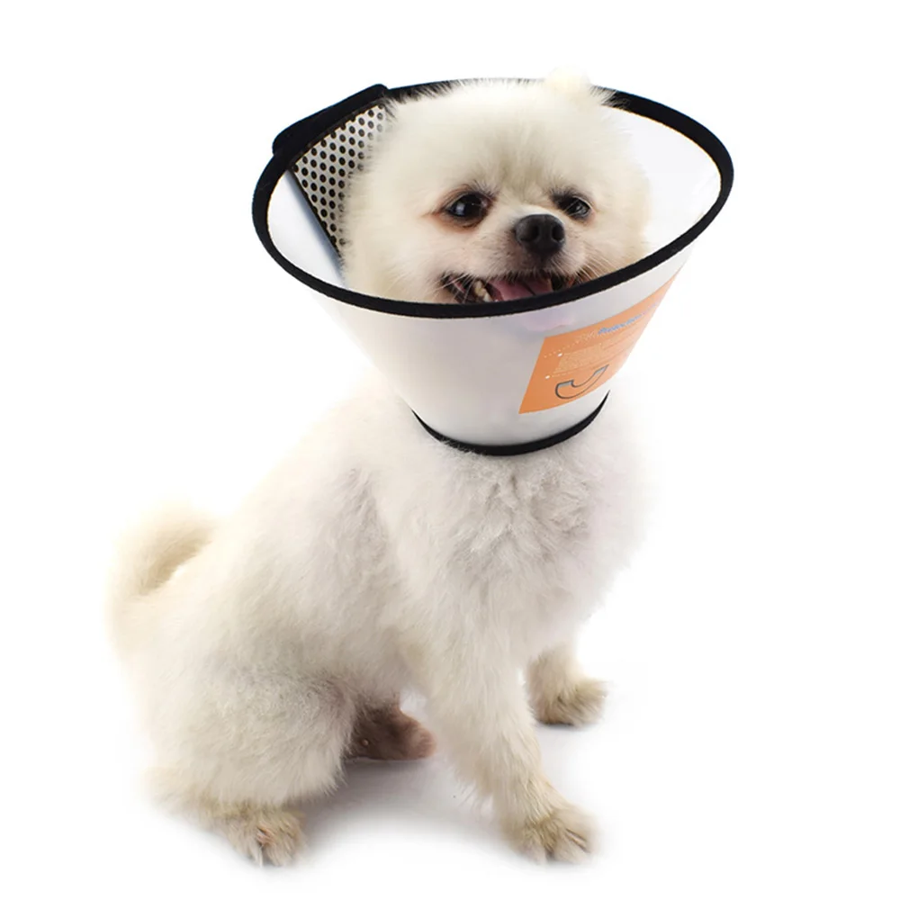 Защитный воротник для алабая. Воротник для животных. Защитный воротник kruuse buster comfort collar 10 см. Защитный ошейник для кошек после операции. Кот в защитном воротнике.