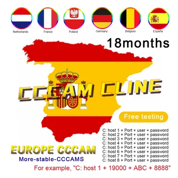 

TV Receiver CCCAM OSCAM HD DVB-S2 Spain lines for 1 Year Europe support TV Receiver GTmedia V8 Nova V7S V9 Freesat V7 free test