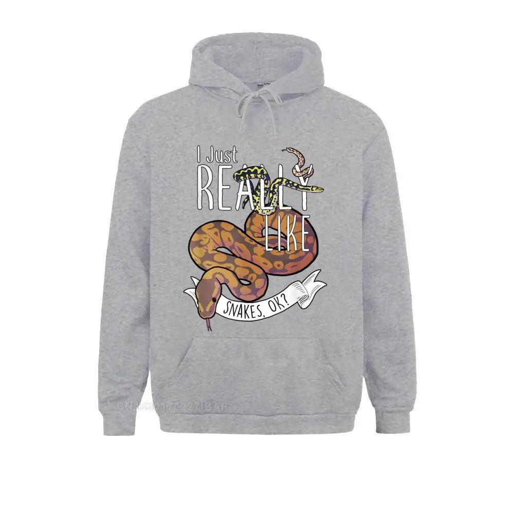 Print 2021 Discount Long Sleeve Summer Sweatshirts Men's Hoodies Printed On Clothes Summer Wholesale 15231 grey