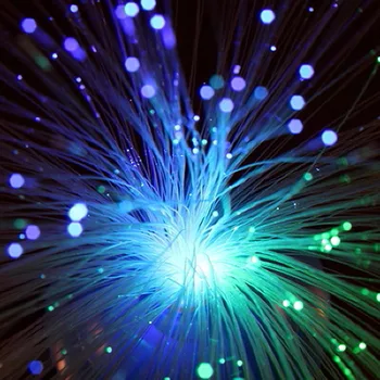 

Worldwide LED Fiber Optic Nightlight Lamp Color Changing Beautiful Romantic festive night light Lamp