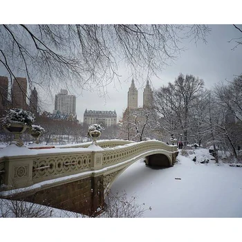 

DIY Painting By Numbers Bow Bridge Central Park Kit Oil Picture By Numbers Winter Landscape Wall Art Painting Canvas Home Decor