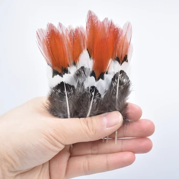 

Natural Lady Amherst Pheasant Feathers for Crafts 5-30cm/2-12" Craft Feathers for Clothes Decor Decoration Plumas Carnaval Top