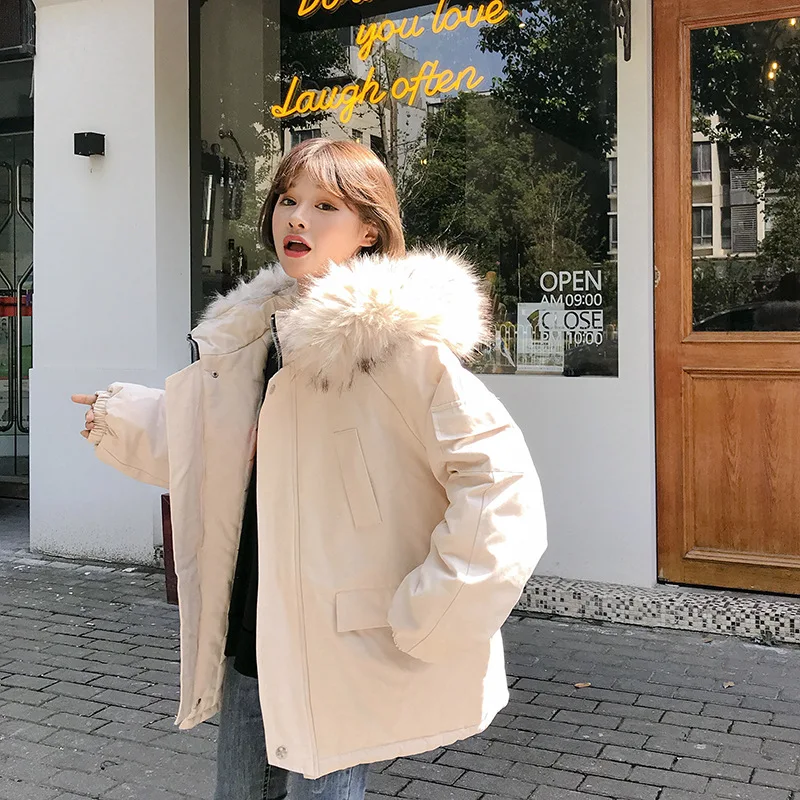 

Photo Shoot 2019 Autumn And Winter New Style College Style Korean-style Loose And Plus-sized Thick Cotton-padded Clothes Women's