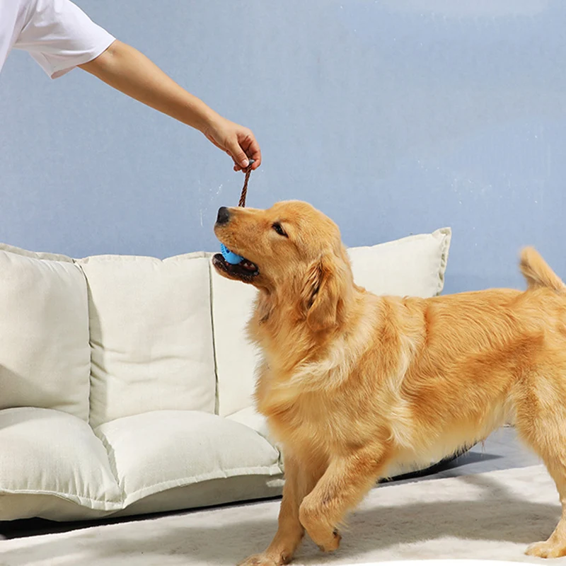 Pet Dog Molar Balls With Rope Interaction Dog Toys For Clean Teeth Chew Toys Silica Gel Dog Grind Teeth Products Toys For Dog