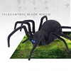 RC spider toy remote control Tarantula Black widow Electric toys Simulation lifelike crawl araneid Tricky novel gift for boys 3