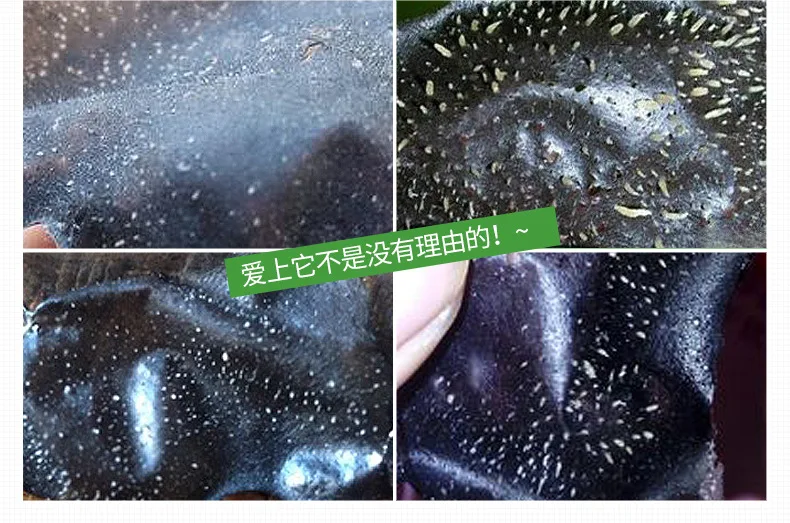 3445269207_244096987