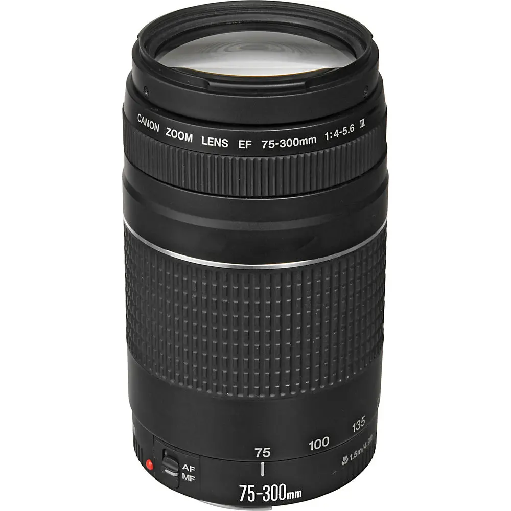 Объектив Canon EF 75 300 мм f/4 5 6 III|Объективы для фотоаппаратов| |
