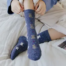 5 пар/уп. милые осенне-зимние толстые теплые хлопковые носки для девочек Носки с рисунком кота Y1AC