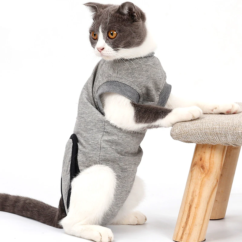 Cat многофункциональная одежда для восстановления одежда с электронным воротником альтернатива после хирургического лечения Предотвращение вылизывания ран царапин