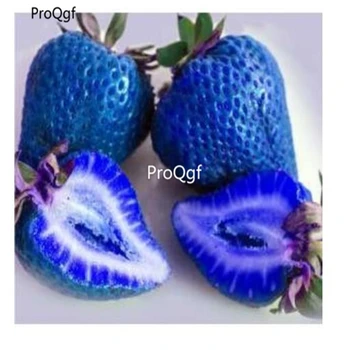 

Ngryise 9000Pcs A Set Blue Strawberry