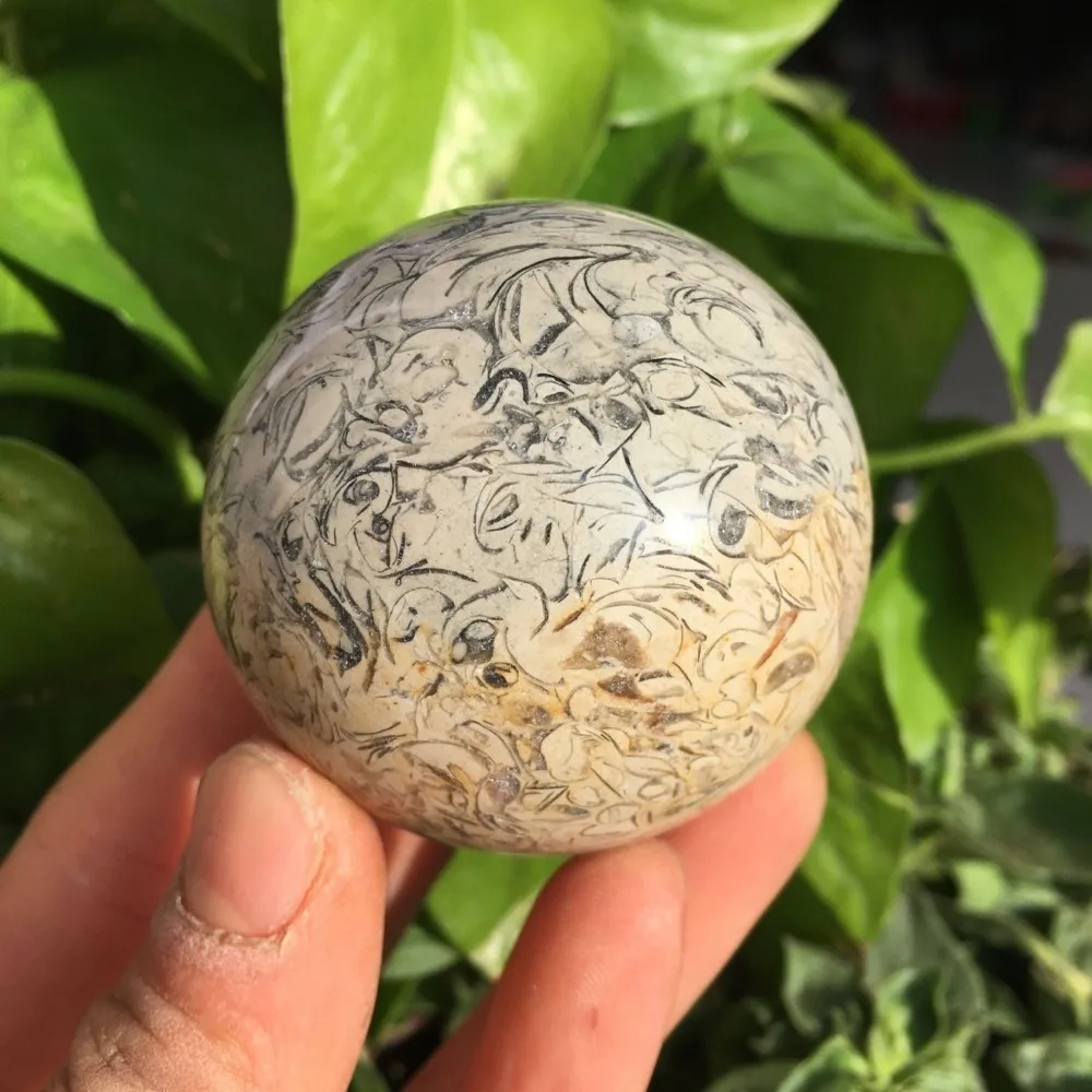 QQ图片20191231225545