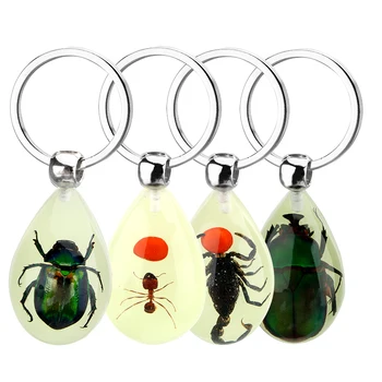 

Creative Scorpion Keychain Handbag Wallet Pendant Artificial Amber Insect Car Keyring Scorpion Ant Amber Key Chains Luminous