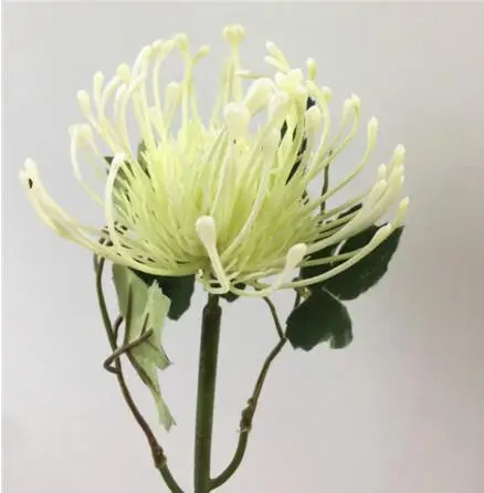 one head cream Один кусок мягкий пластик Одуванчик цветок пять голов/букет Искусственные цветы искусственная Гортензия цветы 4 цвета - Цвет: one head cream