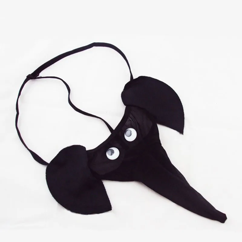 3685128166_613201013