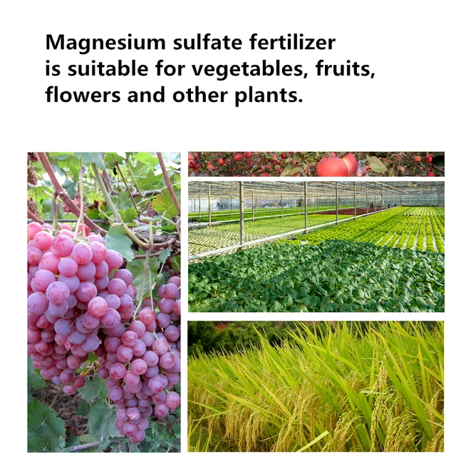 200 G Magnézium -Szulfát -Műtrágya Megakadályozza A Növények Sárgás Betegségét. Különleges Műtrágya Nyomelemekkel Ellátott Kertészkedéshez - Image 4