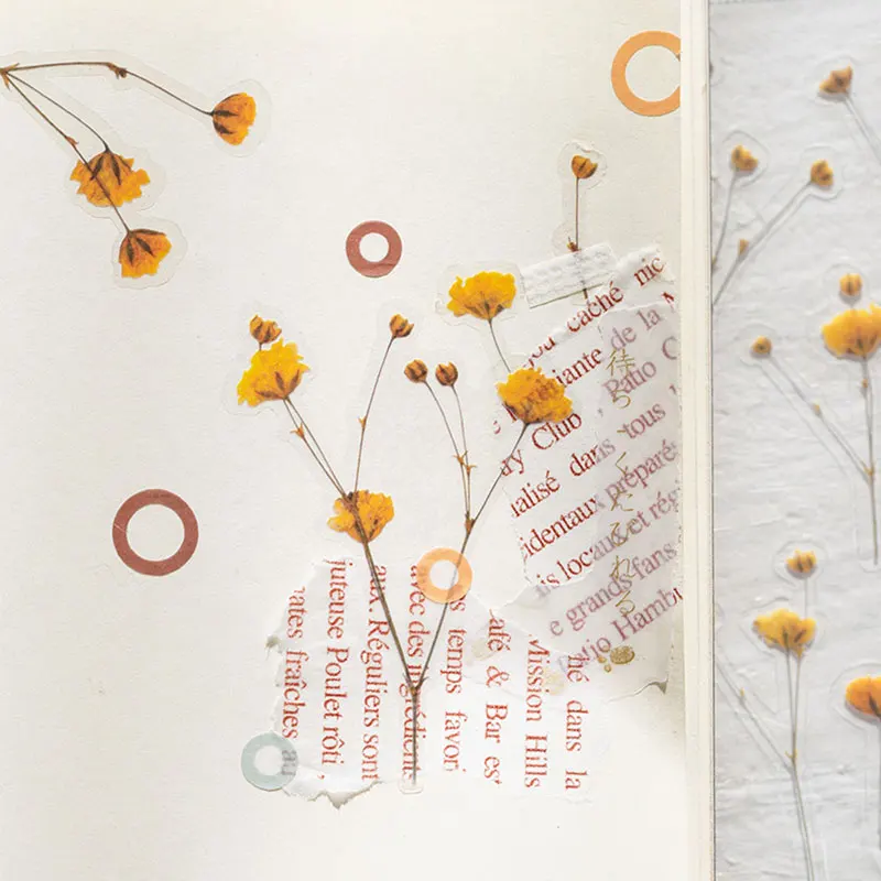 One Sheet 12 Designs Natural Daisy Clover Japanese Words Stickers Transparent PET Material Flowers Leaves Plants Decor