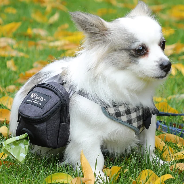 Dog Outdoor Toilet Bag Excrement Shovel Bin Bag Storage Bag Dog Walking Bag  Dog Training Purse Pet Supplies - AliExpress