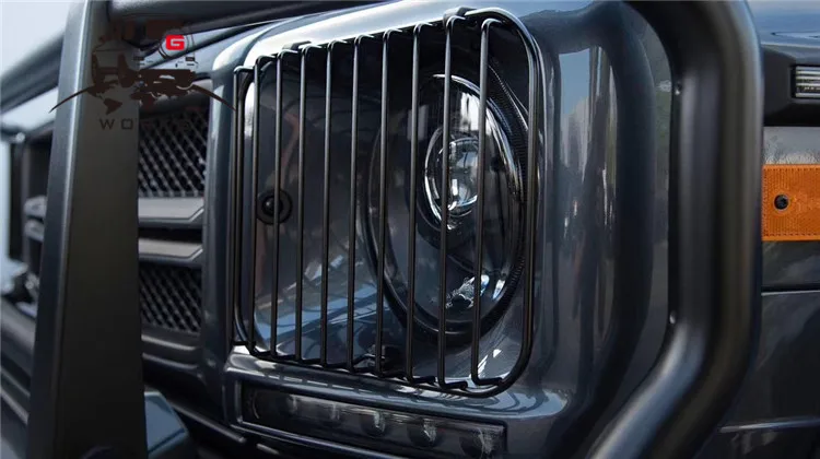 head light grill  (1)