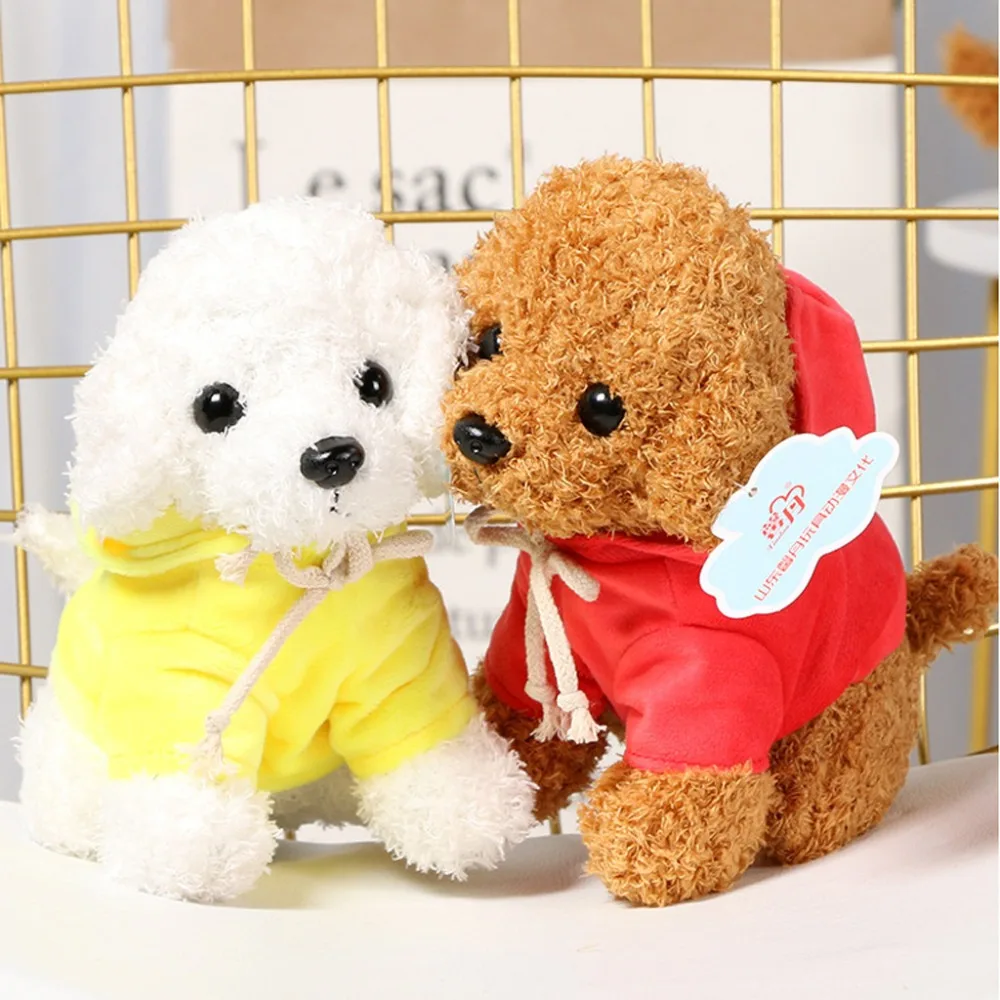 Teddy Dog Rag  (5)