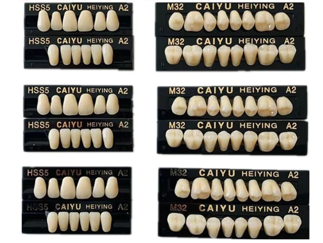 A1 A2 A3 Color Dental Teeth Teaching Model Dental Fake Teeth Oral