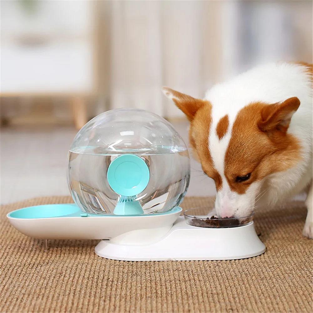 Water Bowls For Cats Dogs Water Dispenser Unplugged Automatic