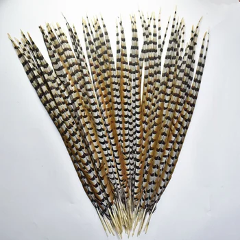 

Natural Lady Amherst Pheasant Feathers for Crafts Long Reeves Venery Pheasant Tail Feather Decoration Decor Plumas Carnaval DIY