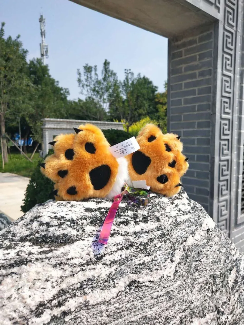 IMG_8565(20200828-151814)