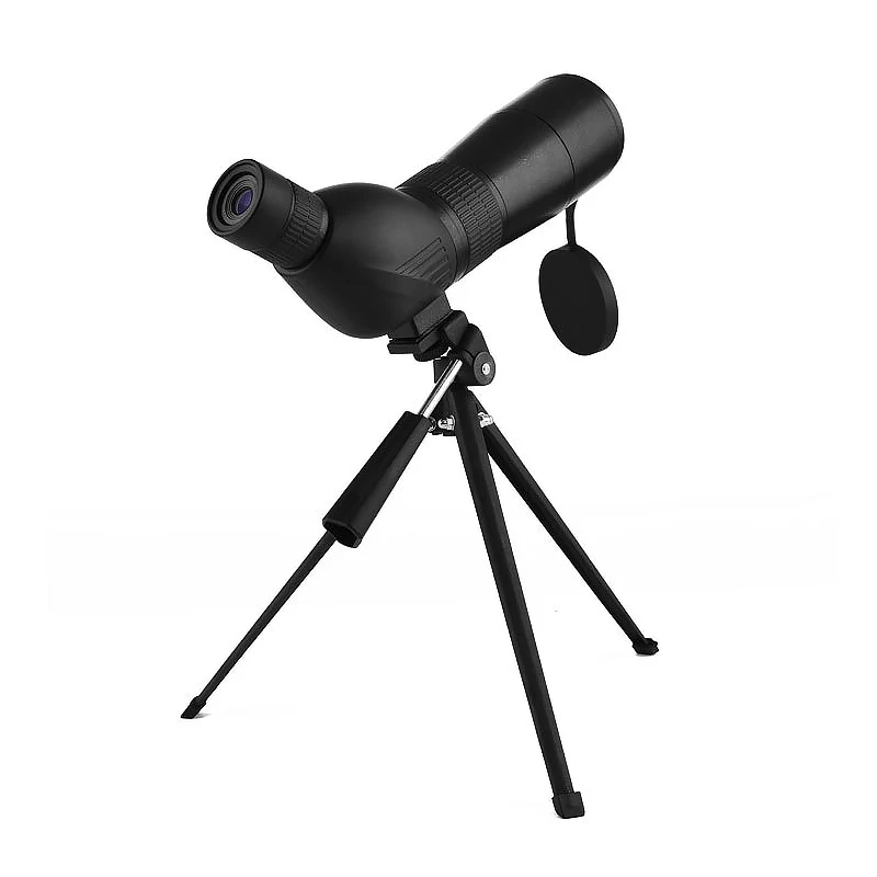 6616677150_2108484305