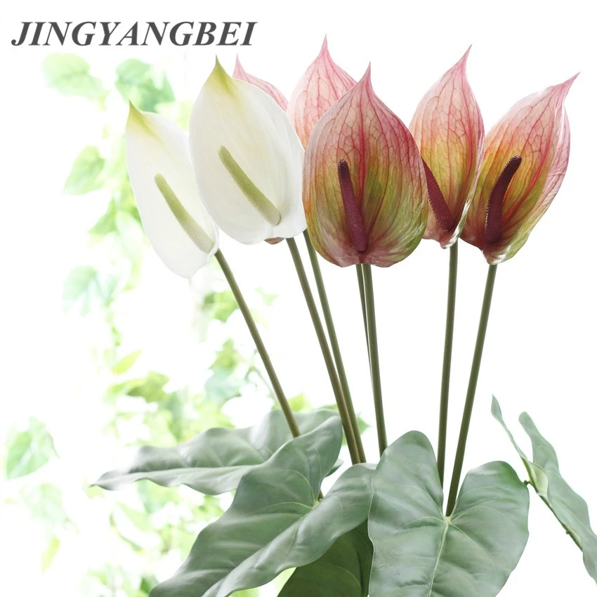High Quality Anthurium Flowers Indoor Plants Balcony Office Artificial Flowers Bonsai Floor Flower Home Decoration Artificial Dried Flowers Aliexpress