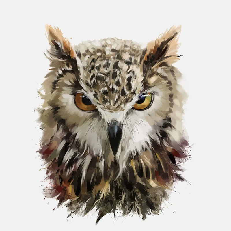 

Personality Sharp Eyes of The Owl Car Stickers Motorcycle Decals Waterproof Sunscreen PVC 15cm X 12cm
