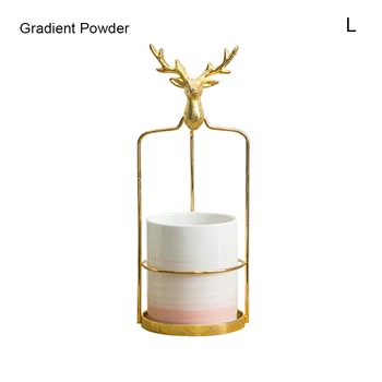 

Gradient Color Succulent Flower Pot With A Rack Decorative Container For Indoor Desktop Balcony PAK55