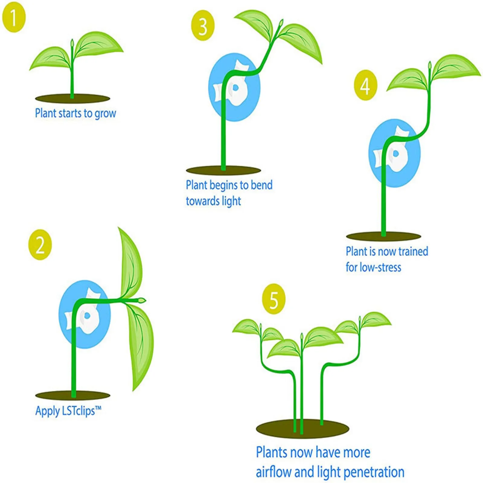 10pcs 360 Degrees Plant Branch Benders Adjustable Plant Supports Ixed Clips Planter Holder Tools Garden Supplies Bender plastic plant supports plant clips plant bender clips