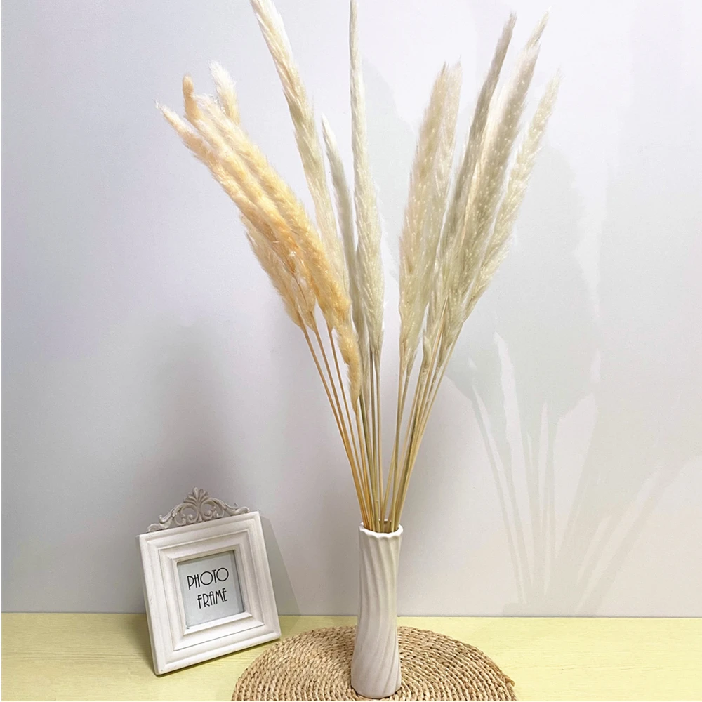 7 шт. камыш натуральный высушенный маленький пампасной травы Phragmites растения искусственные свадебные букет