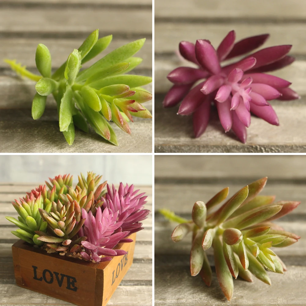 Снежинка Лотос Редкие растения садовый суккулент трава пустыня искусственное