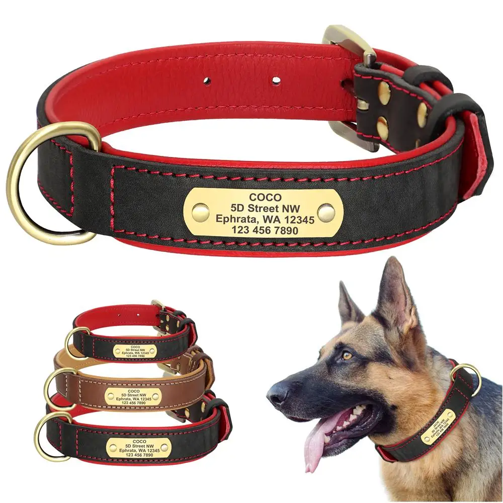 CustomLeatherDogCollarPersonalizedDogAccessoriesCollarEngraved