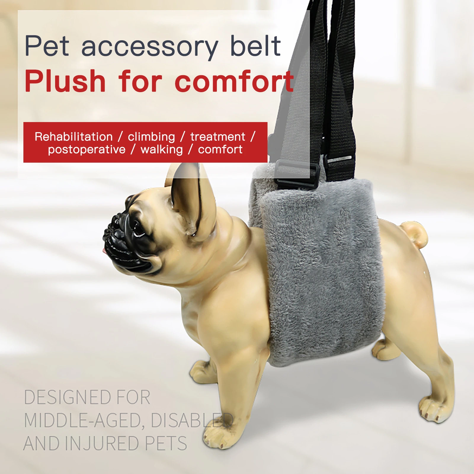 How To Help Old Dog Down Stairs