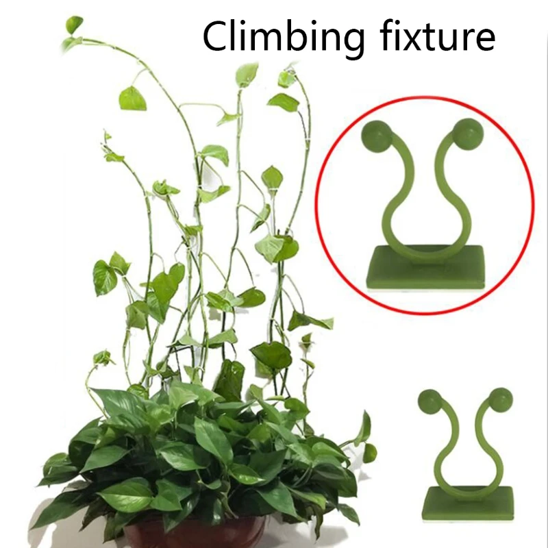 100pcs Plant Climbing Wall Fixture Clips Invisible Vines Self Adhesive Sticky Hook Fixer Support Holder Home Decoration big pots for plants Flower Pots & Planters