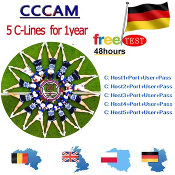 

Lowest Hd 1 Anno Cccam 5 Lines CCCAM Conto per Il Ricevitore Satellitare Spagna Regno Unito Germania Francese Italia Polsat mo