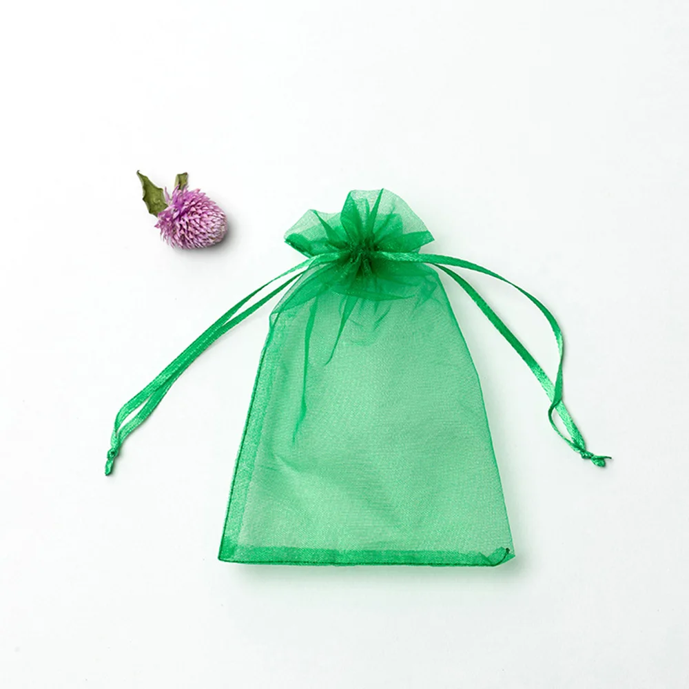 50PCS Garden Vegetables Fruit Grow Plants Protection Bags Anti-Bird Gardening Drawstring Netting Candy Grape Apple Mesh Pouch 