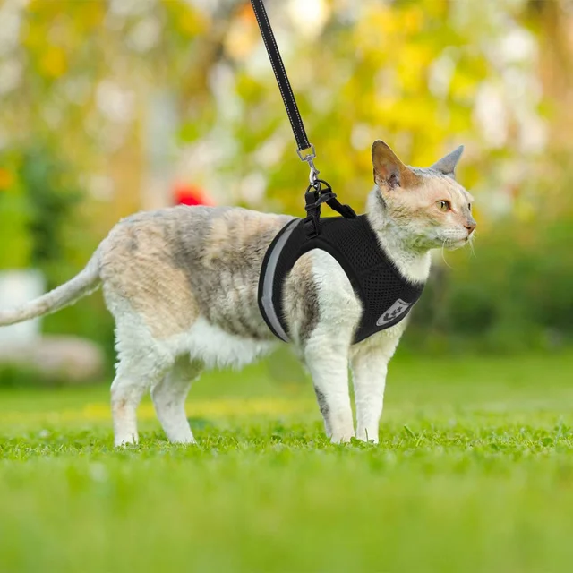 Breathable Cat Harness pets